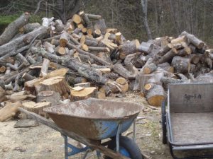 Mountains of wood waiting for the splitter...the fuel for the lobsterbakes later in the summer