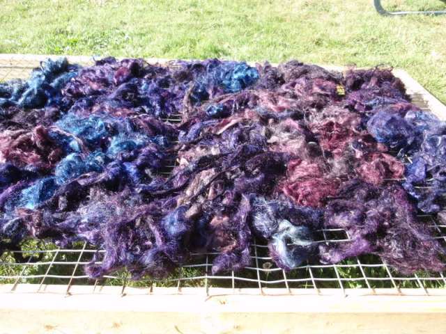 same fleece, dyed the next day...all the shades you can find on a plum tree