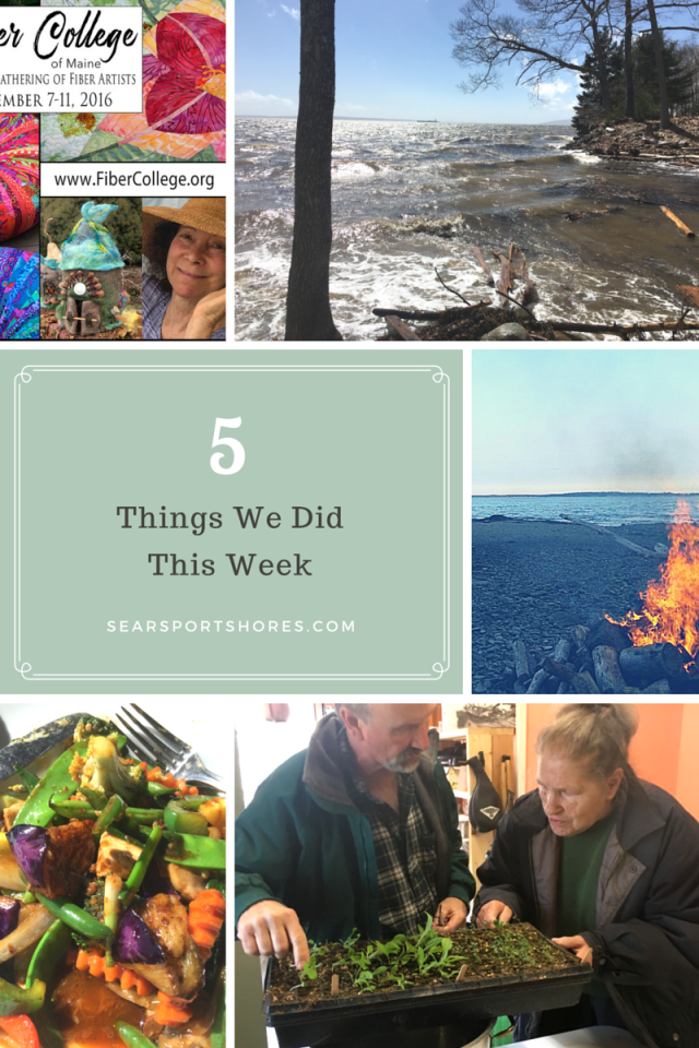 Things We Did This Week